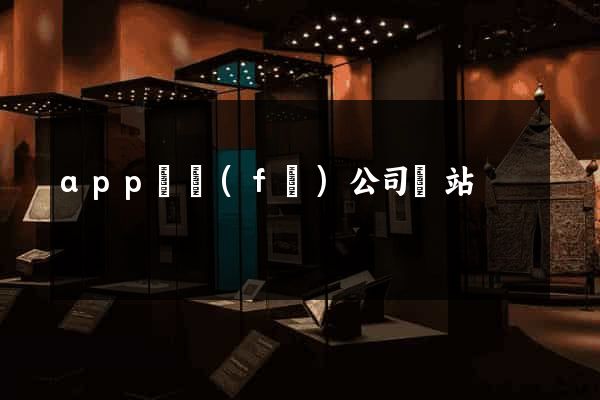 app開發(fā)公司網站