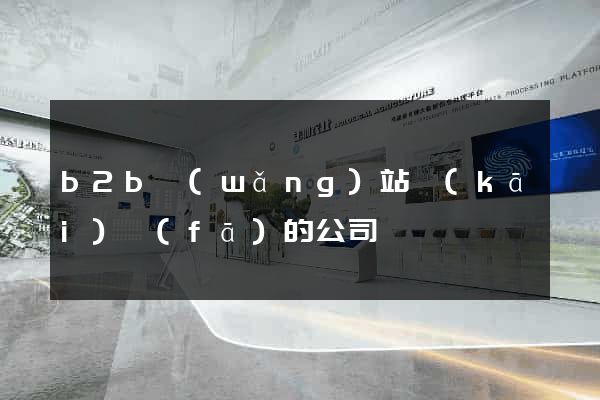 b2b網(wǎng)站開(kāi)發(fā)的公司