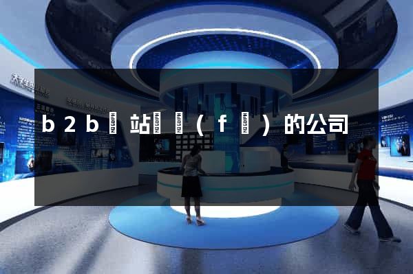 b2b網站開發(fā)的公司