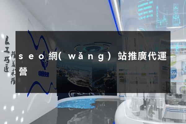 seo網(wǎng)站推廣代運營