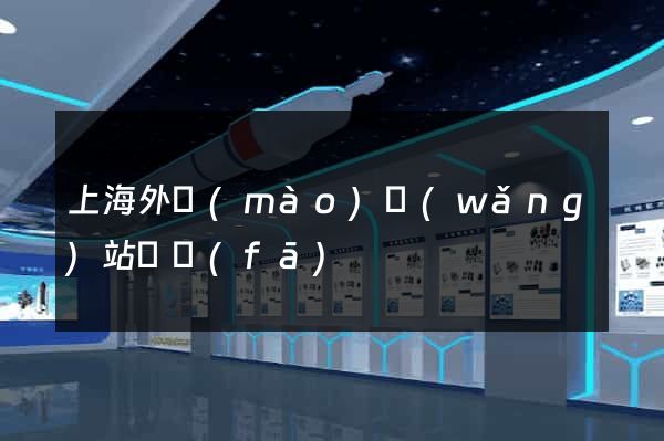上海外貿(mào)網(wǎng)站開發(fā)