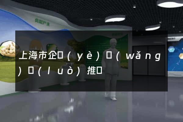 上海市企業(yè)網(wǎng)絡(luò)推廣