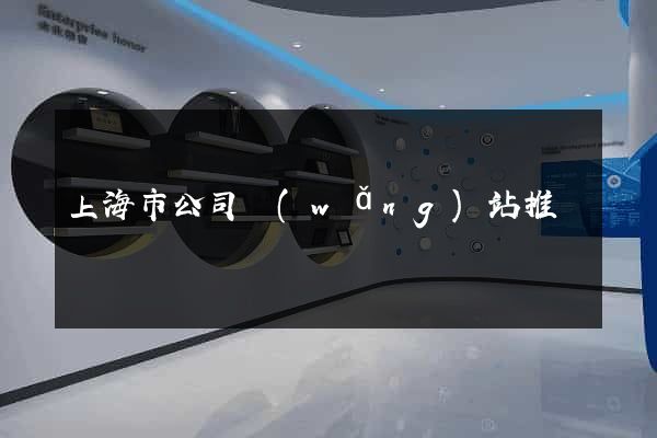 上海市公司網(wǎng)站推廣