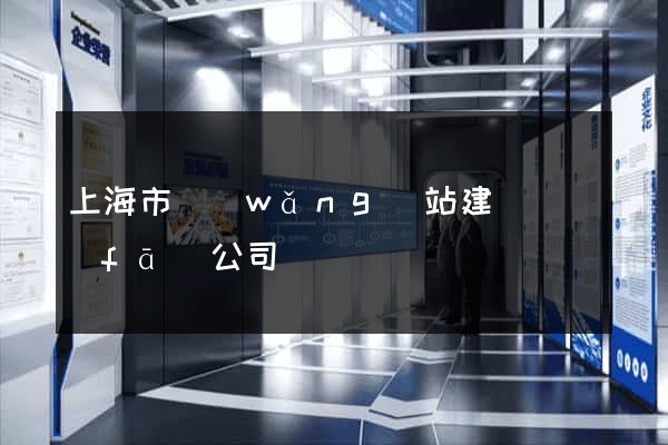 上海市網(wǎng)站建設開發(fā)公司
