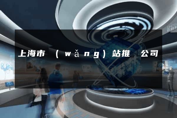 上海市網(wǎng)站推廣公司