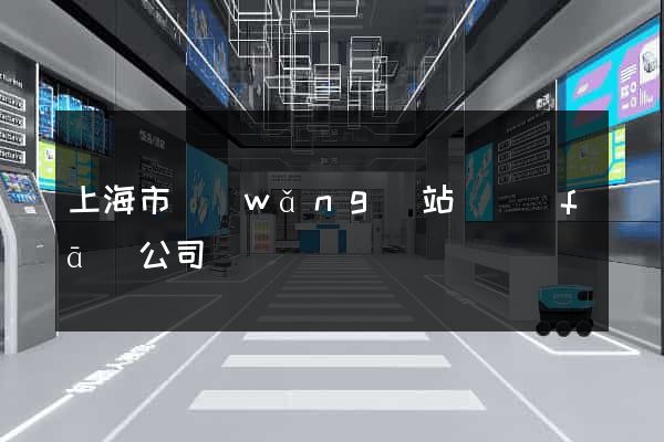 上海市網(wǎng)站開發(fā)公司