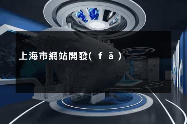 上海市網站開發(fā)