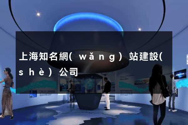 上海知名網(wǎng)站建設(shè)公司