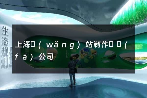 上海網(wǎng)站制作開發(fā)公司