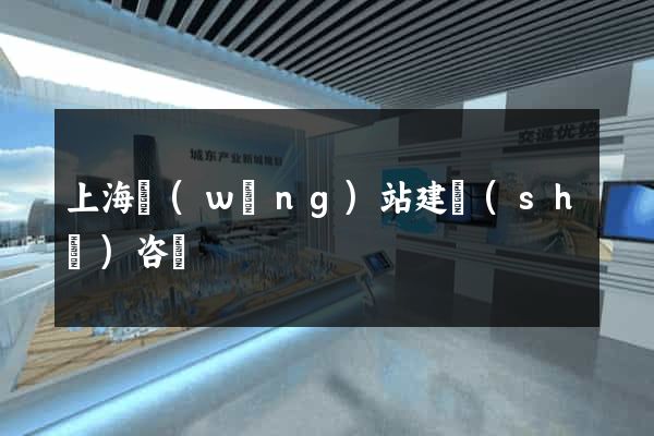 上海網(wǎng)站建設(shè)咨詢