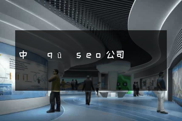 中區(qū)seo公司