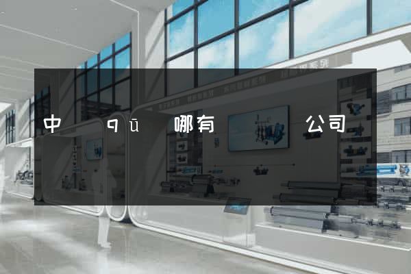 中區(qū)哪有網頁設計公司