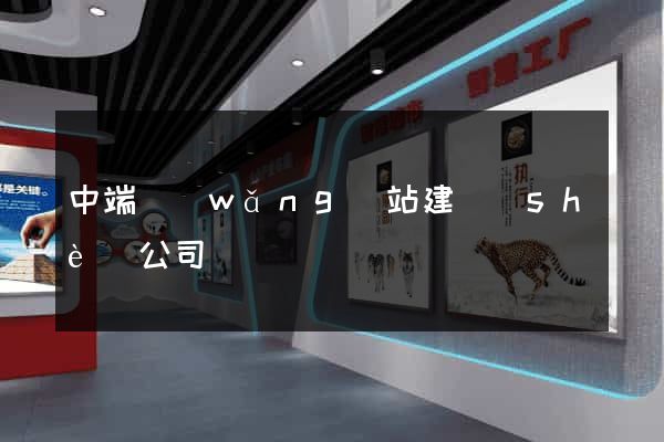 中端網(wǎng)站建設(shè)公司