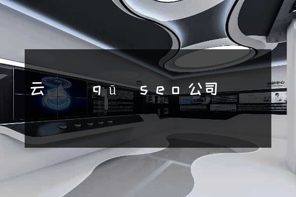 云龍區(qū)seo公司