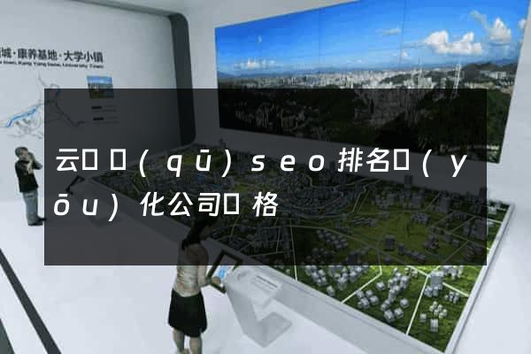 云龍區(qū)seo排名優(yōu)化公司價格