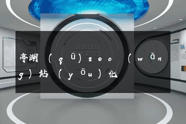 亭湖區(qū)seo網(wǎng)站優(yōu)化
