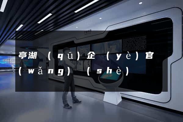 亭湖區(qū)企業(yè)官網(wǎng)設(shè)計