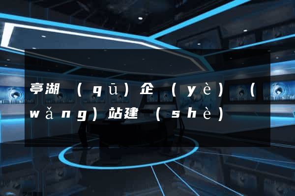 亭湖區(qū)企業(yè)網(wǎng)站建設(shè)
