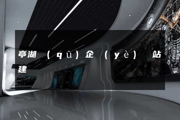亭湖區(qū)企業(yè)網站建設
