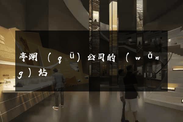 亭湖區(qū)公司的網(wǎng)站