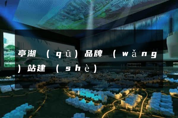 亭湖區(qū)品牌網(wǎng)站建設(shè)