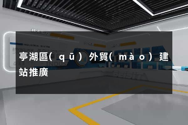 亭湖區(qū)外貿(mào)建站推廣