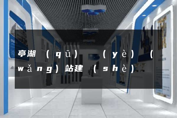 亭湖區(qū)專業(yè)網(wǎng)站建設(shè)