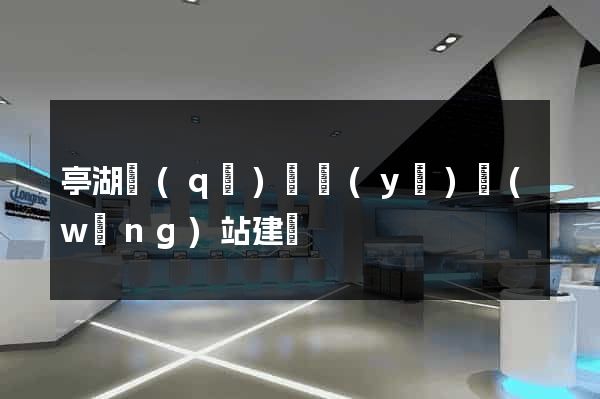 亭湖區(qū)專業(yè)網(wǎng)站建設