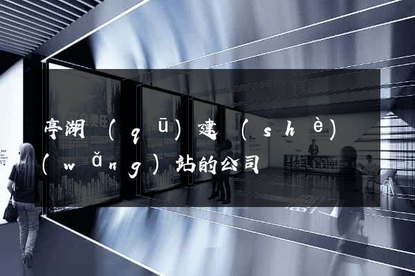 亭湖區(qū)建設(shè)網(wǎng)站的公司