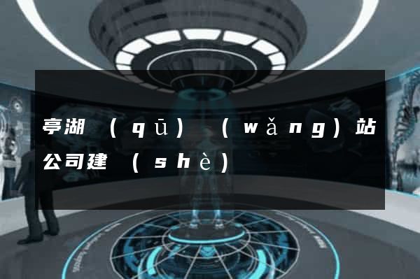 亭湖區(qū)網(wǎng)站公司建設(shè)