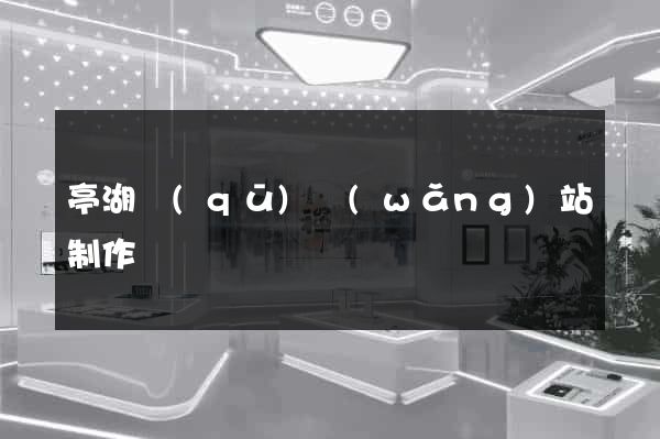 亭湖區(qū)網(wǎng)站制作報價