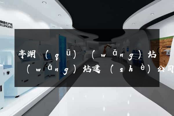亭湖區(qū)網(wǎng)站網(wǎng)站建設(shè)公司