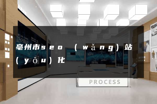 亳州市seo網(wǎng)站優(yōu)化