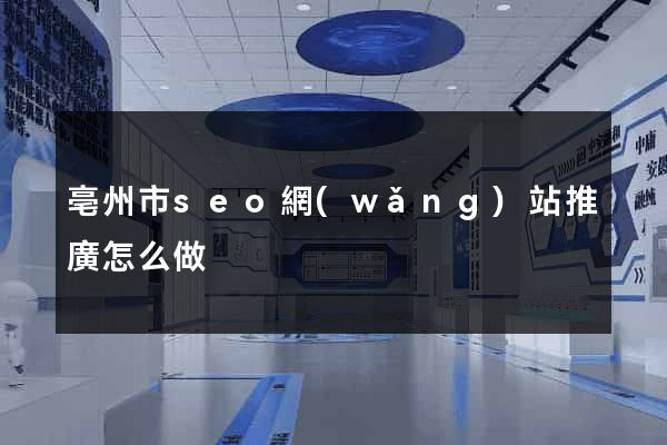 亳州市seo網(wǎng)站推廣怎么做