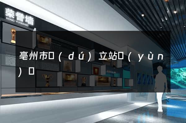 亳州市獨(dú)立站運(yùn)營
