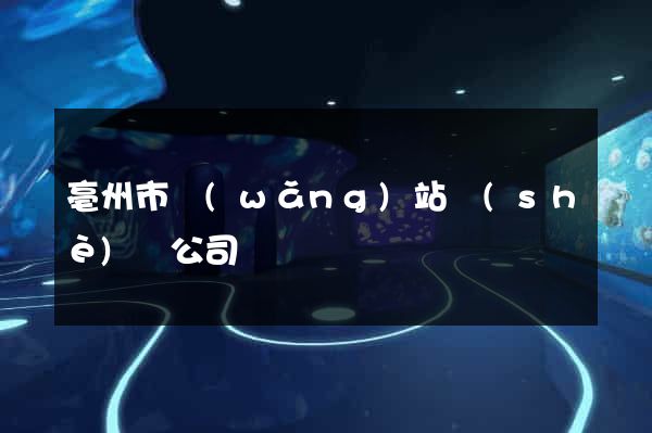 亳州市網(wǎng)站設(shè)計公司