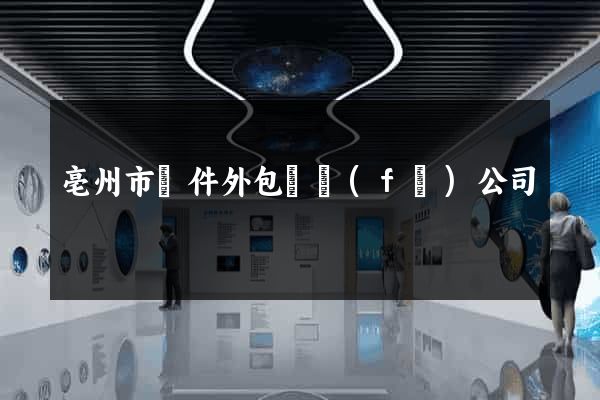 亳州市軟件外包開發(fā)公司