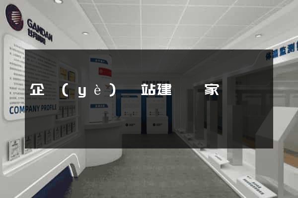 企業(yè)網站建設專家