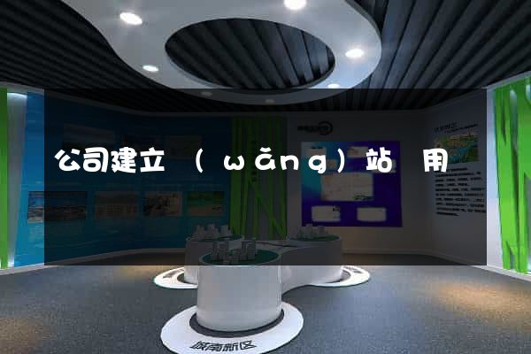 公司建立網(wǎng)站費用