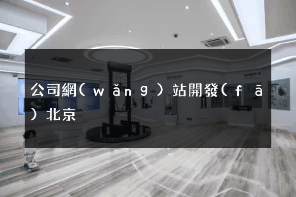 公司網(wǎng)站開發(fā)北京