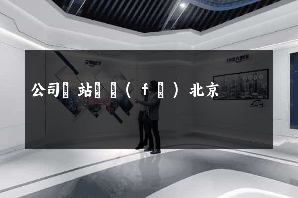 公司網站開發(fā)北京