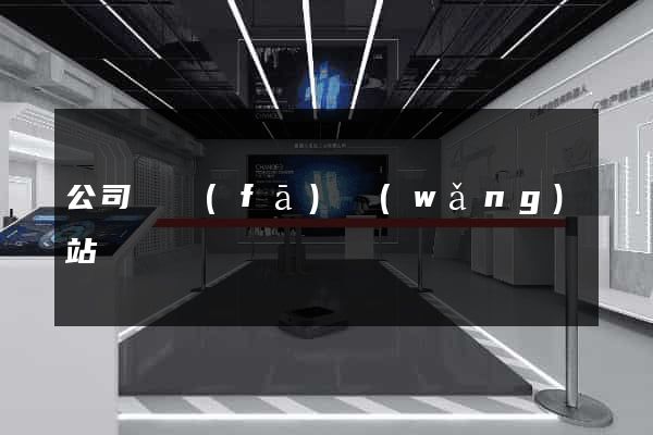 公司開發(fā)網(wǎng)站