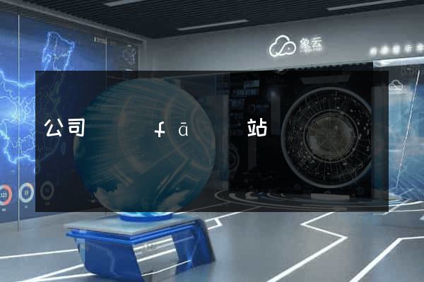 公司開發(fā)網站