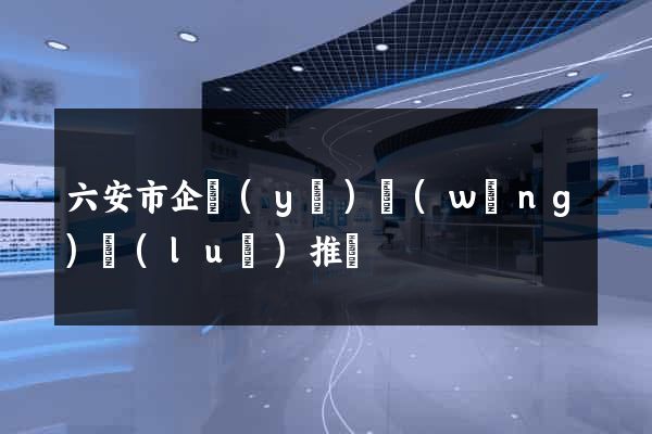 六安市企業(yè)網(wǎng)絡(luò)推廣