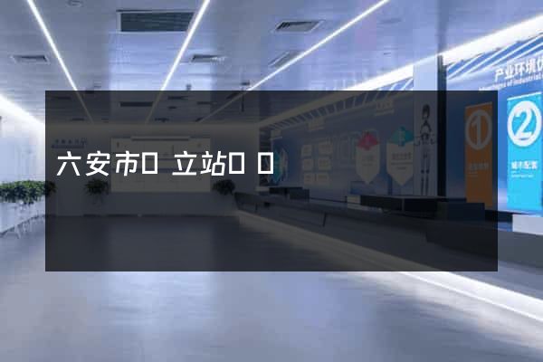 六安市獨立站運營