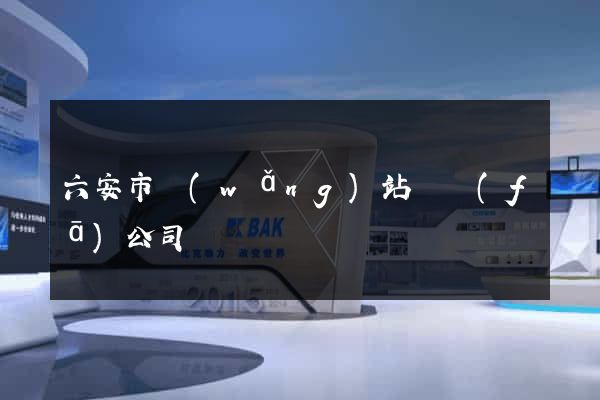 六安市網(wǎng)站開發(fā)公司