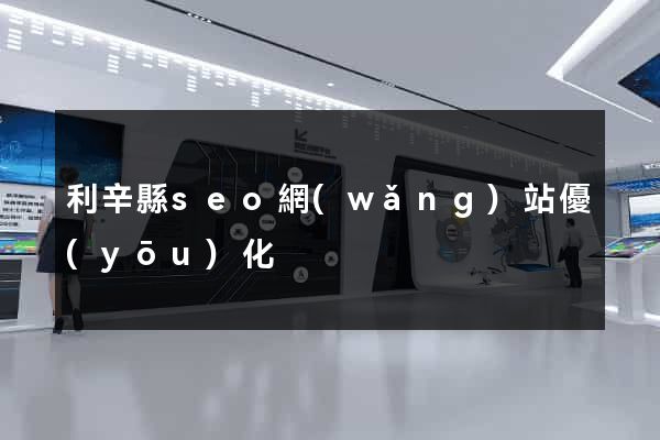 利辛縣seo網(wǎng)站優(yōu)化