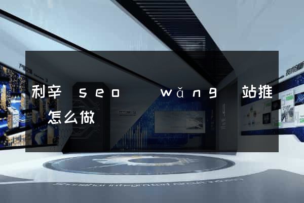 利辛縣seo網(wǎng)站推廣怎么做