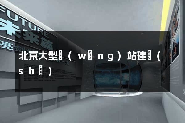 北京大型網(wǎng)站建設(shè)