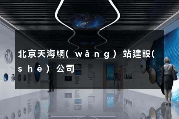 北京天海網(wǎng)站建設(shè)公司